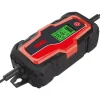 Caricabatterie auto usag 10,0a