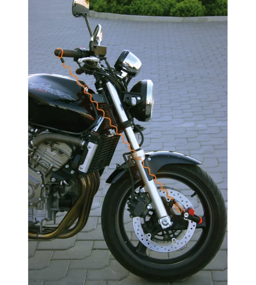 Cavetto bloccadisco "reminder" 90616