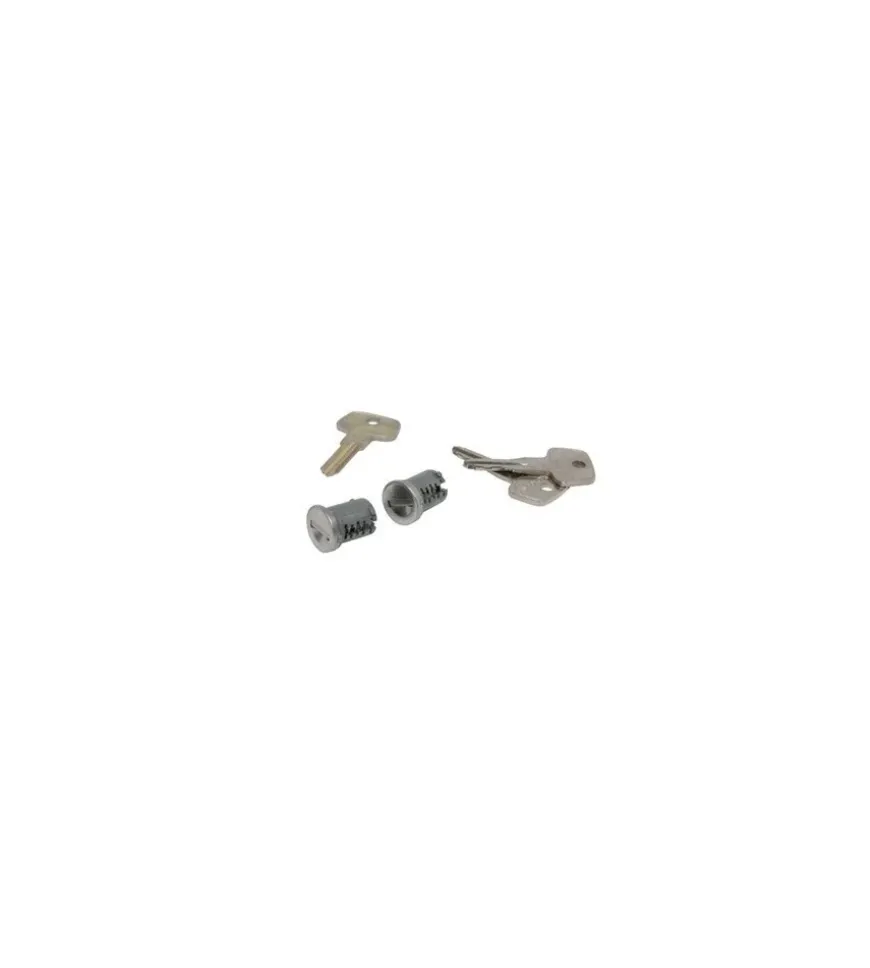 Lucchetto e chiave universale sks lock core 2 pz y8007202